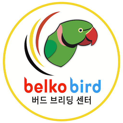 belkobird