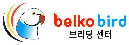 Belko Bird