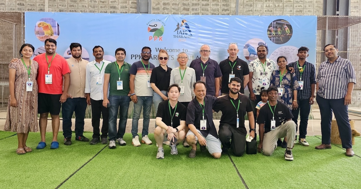 PPK 앵무새 & 그랜드 플라이트